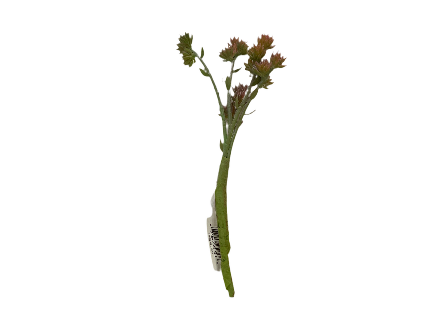 11" Sedum Spray