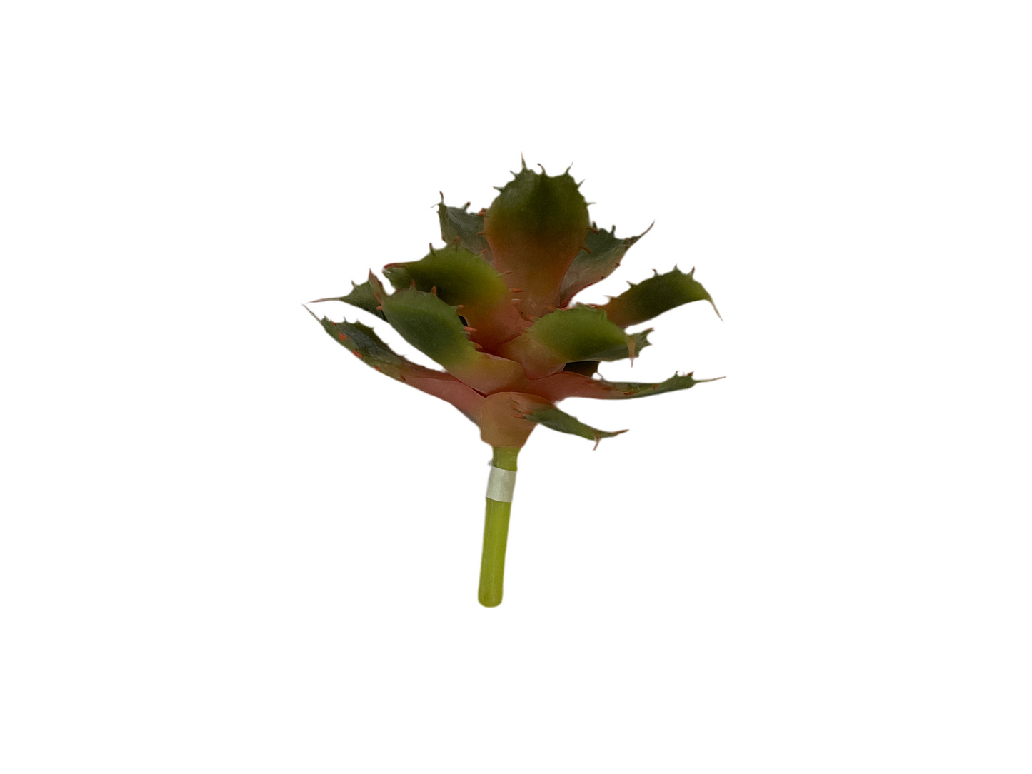 5.5" Aloe Pick