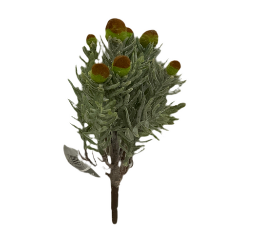 7" Succulent Pick