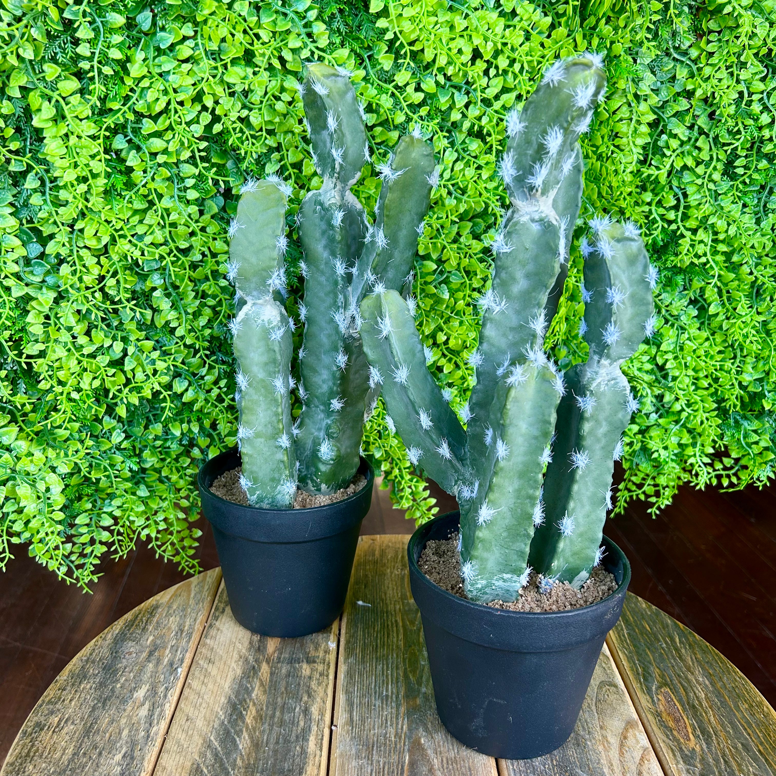 5 inch Silk Potted Cactus