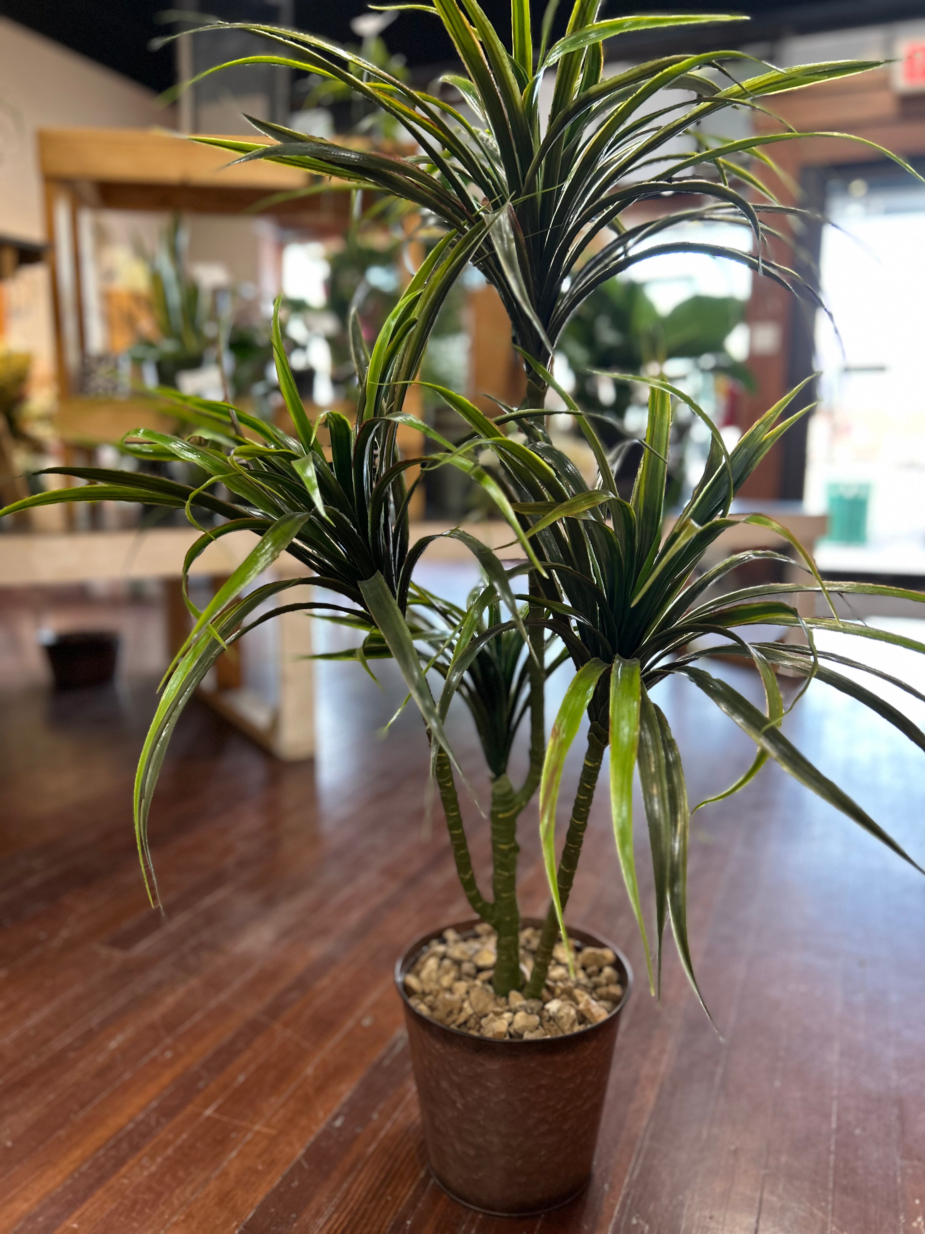 6 inch Silk Potted Dracaena