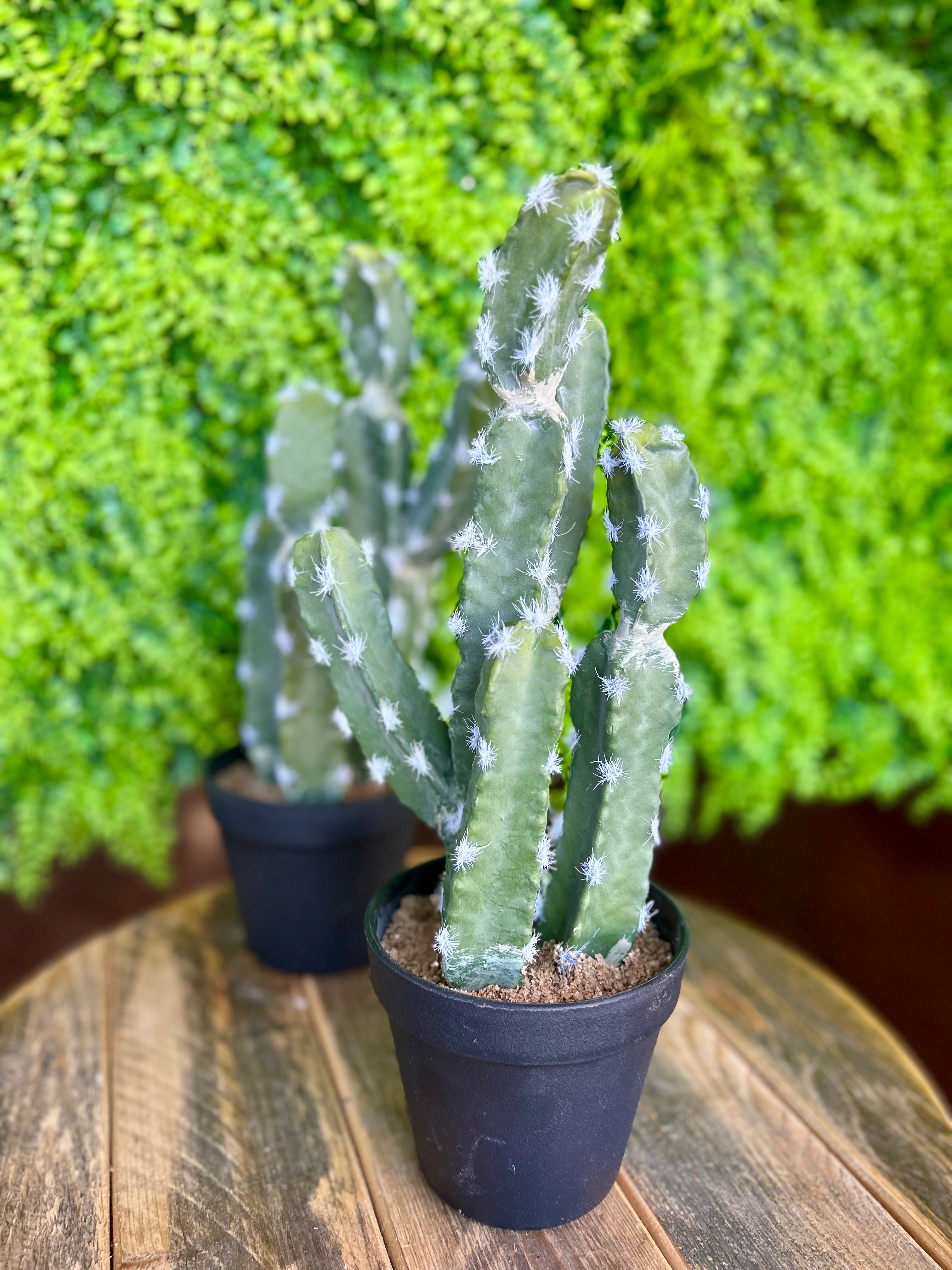 5 inch Silk Potted Cactus