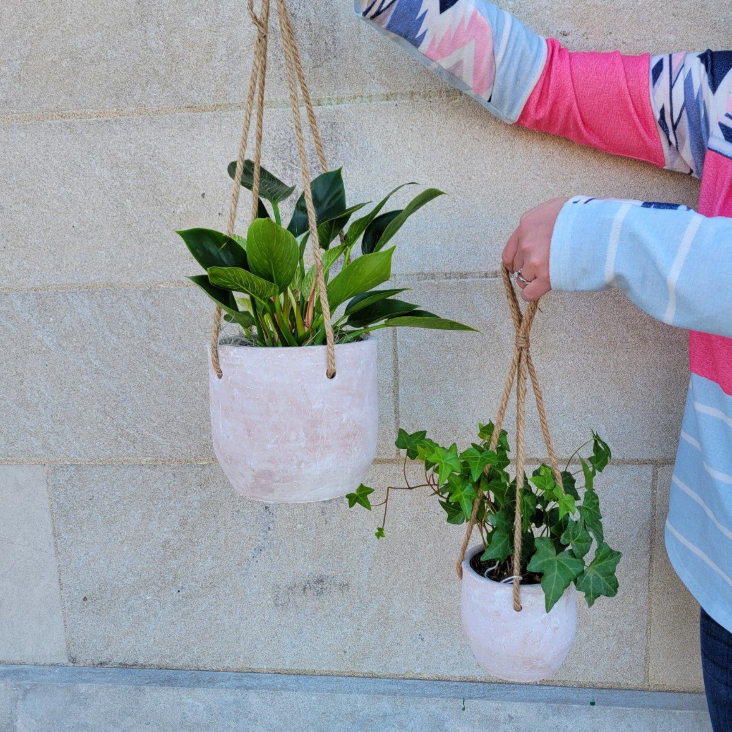 Clay Hanging Planter