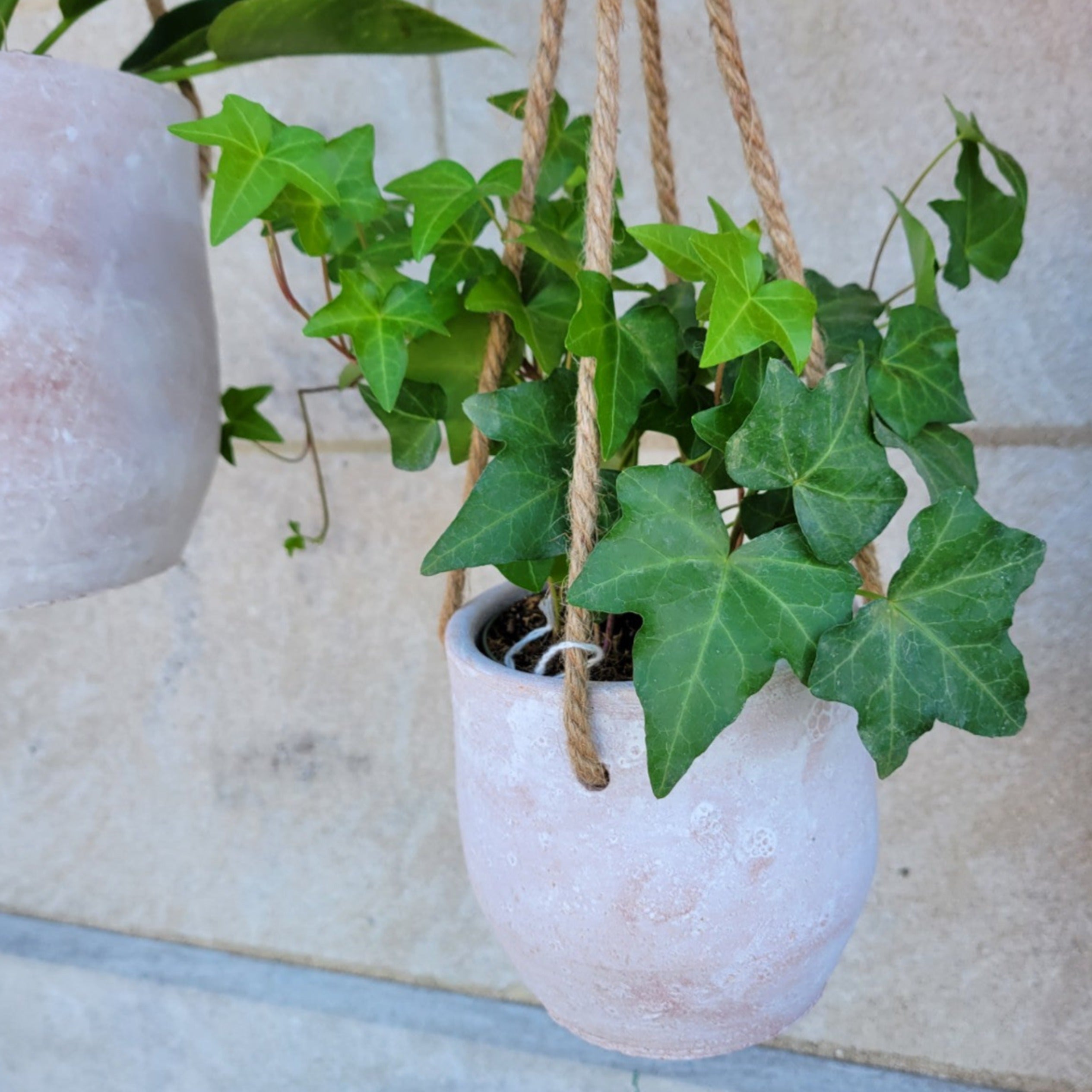 Clay Hanging Planter