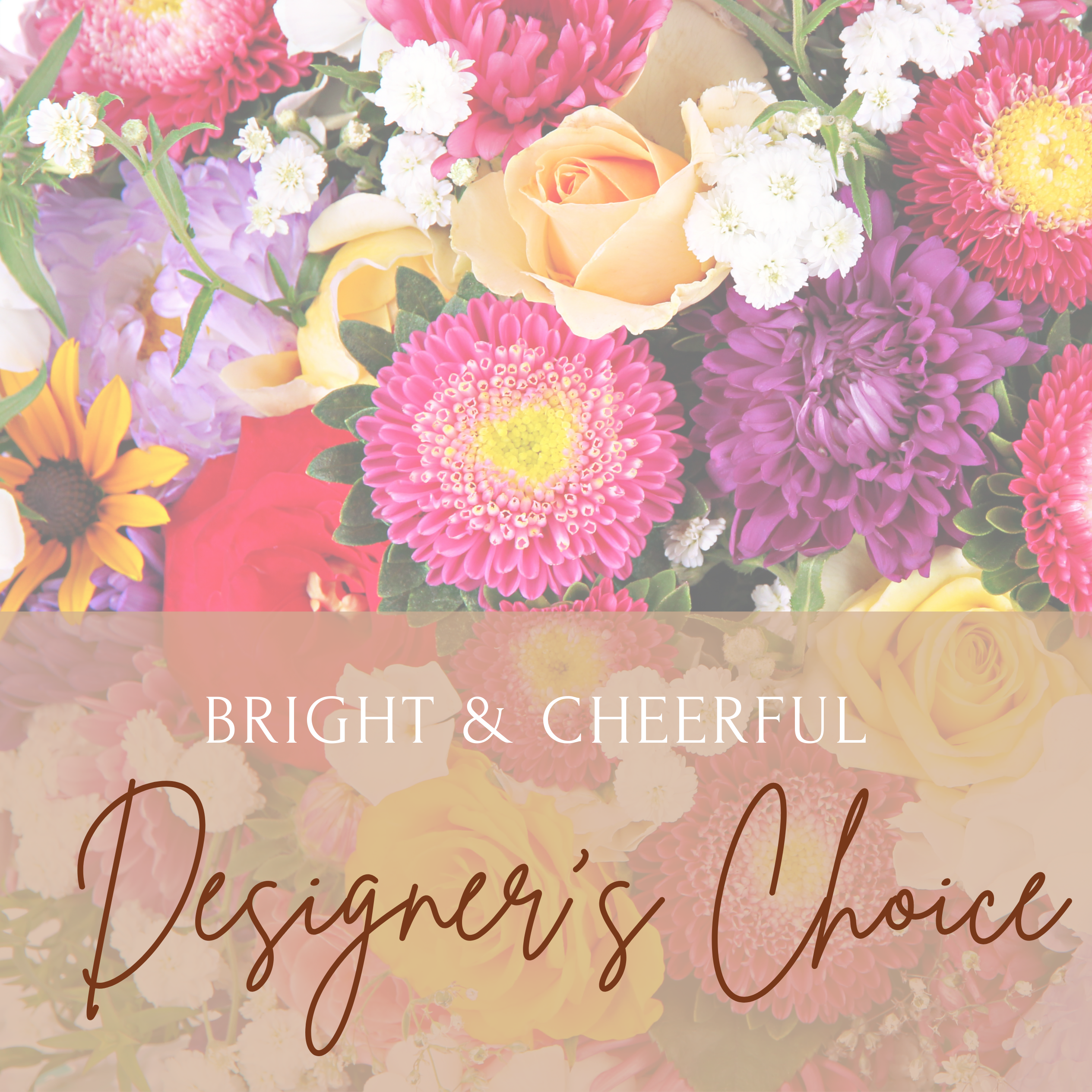 Designers Choice Bright and Cheerful