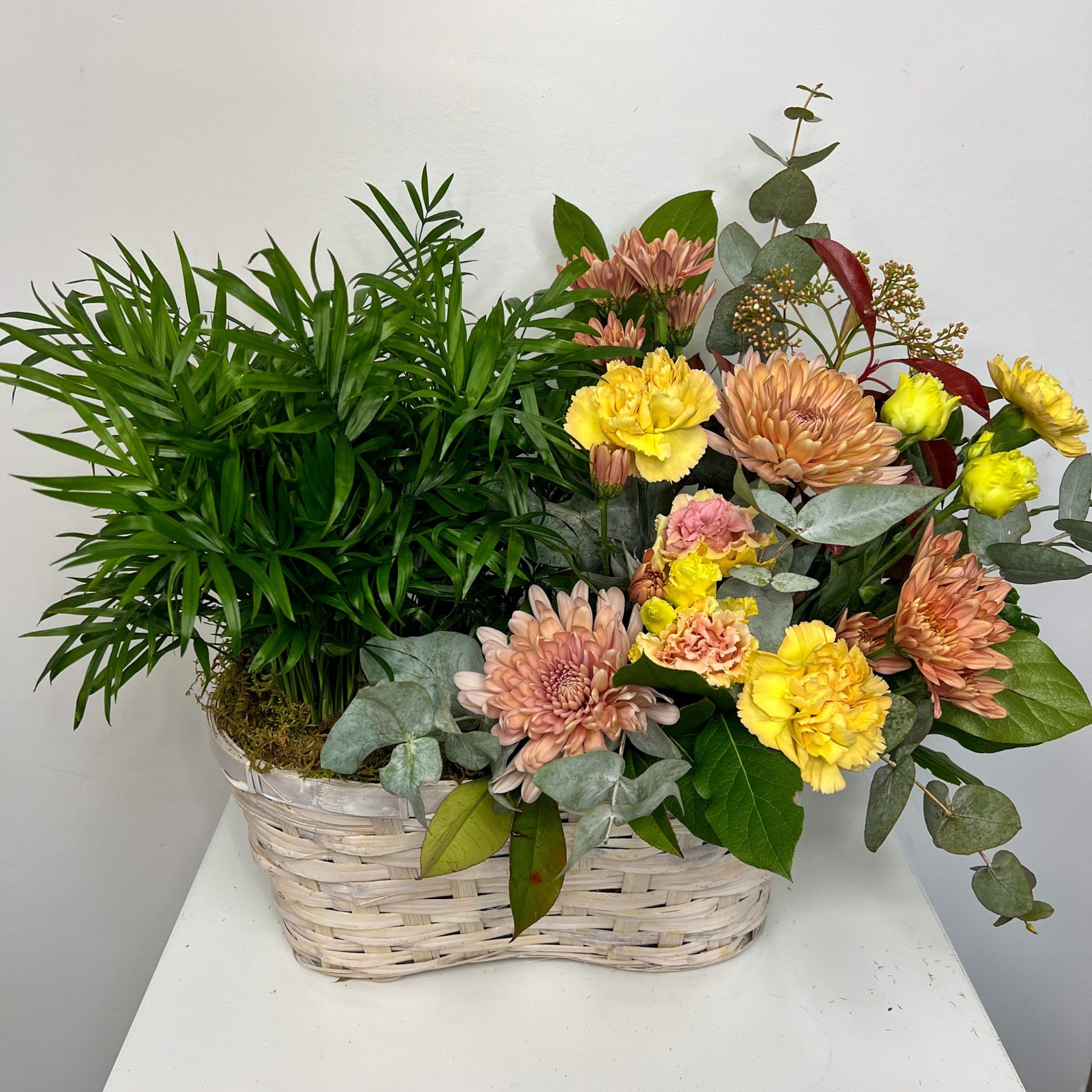 Plant & Fresh Flower Combination Basket